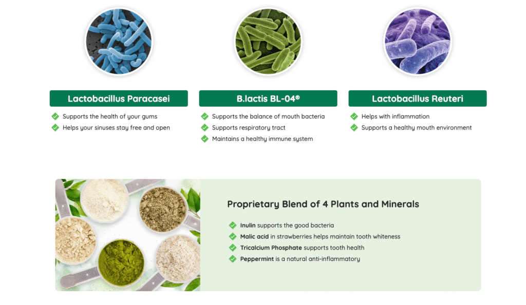 ProDentim key ingredients – Lactobacillus Paracasei, B.lactis BL-04, Lactobacillus Reuteri, Inulin, and Peppermint